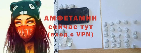 ECSTASY Гусь-Хрустальный