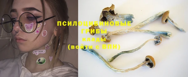 хмурый Гусиноозёрск
