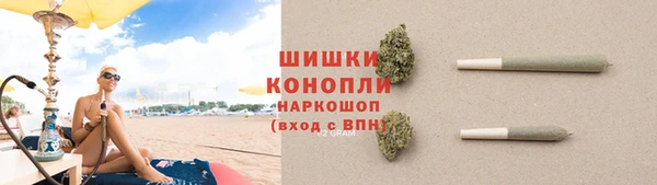 ECSTASY Гусь-Хрустальный