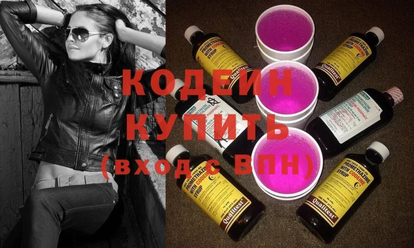 ECSTASY Гусь-Хрустальный