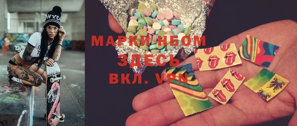 ECSTASY Гусь-Хрустальный