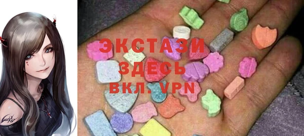 ECSTASY Гусь-Хрустальный