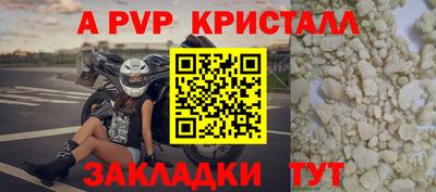 spice Гай