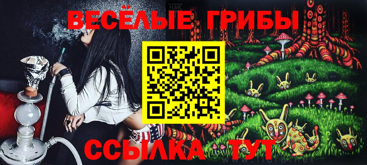 Псилоцибиновые грибы мухоморы  Вход с VPN  Зерноград 