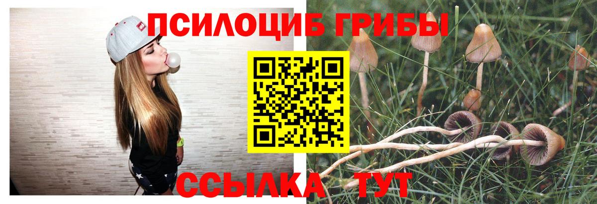 Где купить наркотики?  МЕФ   ТГК  КОКАИН  ГАШ  Вход с VPN  Зерноград  Конопля 